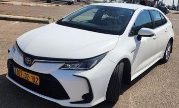 טויוטה קורולה