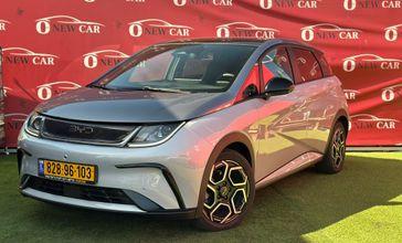 בי ווי די BYD DOLPHIN